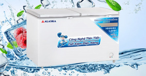 Top 3 tủ đông Alaska 500 lít chất lượng tốt nên mua