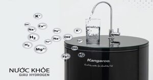 Top 4 bình lọc nước Kangaroo đáng sở hữu nhất hiện nay