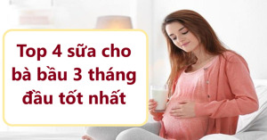 Top 4 loại sữa cho mẹ bầu trong giai đoạn 3 tháng đầu tốt nhất hiện nay