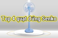 Top 4 quạt đứng Senko ‘ngon, bổ, rẻ’ được yêu thích nhất
