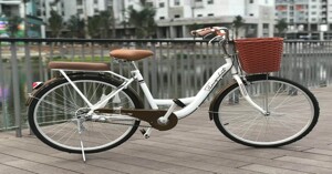 TOP 4 xe đạp mini Thống Nhất đáng mua hiện nay