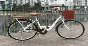 TOP 4 xe đạp mini Thống Nhất đáng mua hiện nay