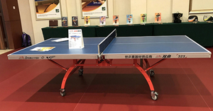 TOP 5 bàn bóng bàn Double Fish tốt nhất được yêu thích hiện nay