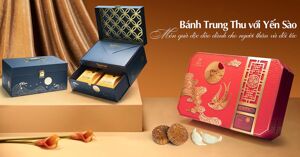 TOP 5 bánh trung thu yến sào ngon cho Tết Đoàn Viên 2023