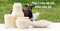 Top 5 loại sữa dê cho bé giúp phát triển toàn diện tốt nhất hiện nay
