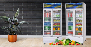 Top 5 loại tủ mát trưng bày trái cây giá rẻ cho cửa hàng và siêu thị