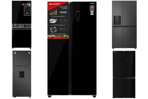 Top 5 mẫu tủ lạnh đến từ các thương hiệu lớn gia đình nào cũng nên có