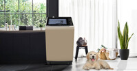 Top 5 máy giặt Aqua cửa trên tốt nhất 2023 giá chỉ 4,5 triệu đồng