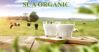 Top 5 sản phẩm sữa tươi Organic bán chạy nhất năm 2022
