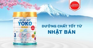 Top 5 sữa phát triển trí não cho bé 4 tuổi đáng tham khảo nhất hiện nay