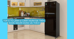 Top 5 tủ lạnh 2 cánh ngăn đá trên được người dùng ưa thích nhất 2022