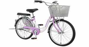 TOP 5 xe đạp Asama nữ được ưa chuộng nhất trên thị trường hiện nay