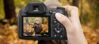 Top 6 máy ảnh Sony rẻ nhất từ 2tr nhỏ gọn dễ sử dụng chụp hình đẹp