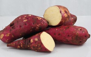 Top các loại thực phẩm ngăn ngừa ung thư vú
