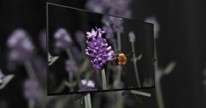 Trải nghiệm hình ảnh 4K chân thực ngay trên chiếc Tivi Sony Smart 4K KD-55X7000G