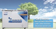 Tủ đông Alaska có ưu – nhược điểm gì? Tại sao nên mua?