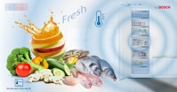 Tủ đông Bosch giá bao nhiêu? Báo giá tủ đông Bosch mới nhất