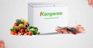 Tủ đông Kangaroo số nào lớn nhất? Hướng dẫn sử dụng tủ đông kangaroo chi tiết