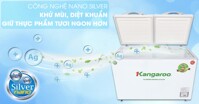 Tủ đông kháng khuẩn 400L Kangaroo KG400NC2 có gì đặc biệt? Bao nhiêu tiền?