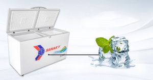 Tủ đông lạnh Sanaky của nước nào sản xuất? Có những loại nào? Giá bao nhiêu?