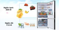 Tủ lạnh Panasonic 377 lít có điểm gì nổi bật? Giá thành ra sao?