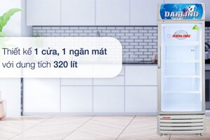 Tủ mát Darling 320 lít DL-3200AL không gian lưu trữ rộng rãi, bảo quản thực phẩm tươi ngon