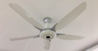 Vì sao quạt trần 5 cánh Panasonic hot, nên dùng?