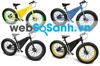 Xe đạp điện giá rẻ thương hiệu quốc tế