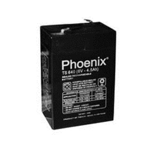 Ắc quy Phoenix 12V-4.5Ah TS1245