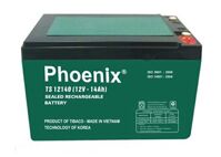 Ắc quy Phoenix TS12140