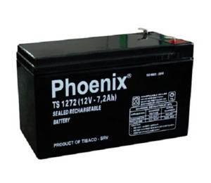 Ắc quy Phoenix TS1228