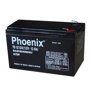 Ắc quy Phoenix TS612