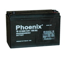 Ắc quy Phoenix TS61500