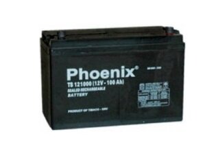 Ắc quy Phoenix TS61800