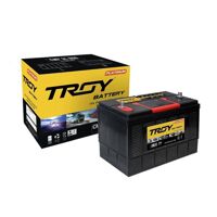 Ắc Quy TROY CMF 31S-800 (12V-100Ah)