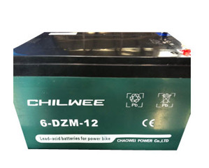 Ác quy xe đạp điện 12V-12Ah 6-DZM-12