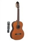 Đàn Guitar Adonis Classical C238