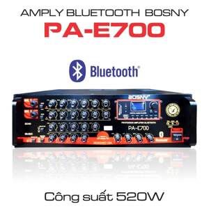 Amply Bosny PA-E700