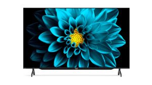 Android Tivi Sharp 4K 50 inch 4T-C50DK1X