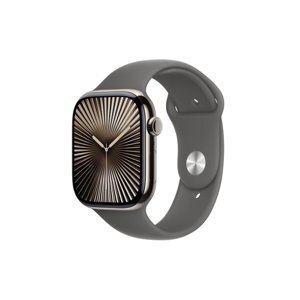 Apple Watch Series 10 4G 42mm Viền Titan Dây cao su