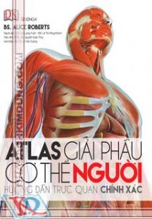 Atlas Giải Phẫu Cơ Thể Người