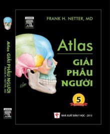 Atlas Giải Phẫu Người