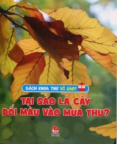 Bách Khoa Thư Vì Sao? - Tại Sao Lá Cây Đổi Màu Vào Mùa Thu?