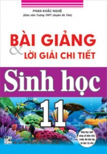 Bài giảng và lời giải chi tiết sinh học 11