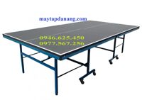 Bàn bóng bàn Đức Long PT-04