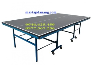 Bàn bóng bàn Đức Long PT-04