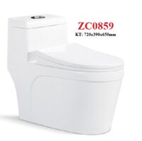 Bàn cầu 1 khối Zico ZC0859