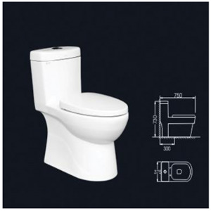 Bàn cầu 2 nhấn 1 khối Arigato TH-71