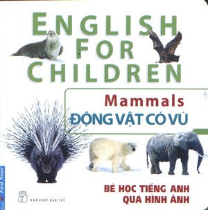 Bé học tiếng anh qua hình ảnh động vật có vú