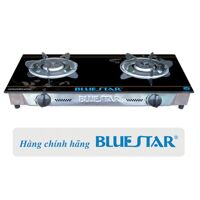 Bếp gas đôi Bluestar NG-4700I